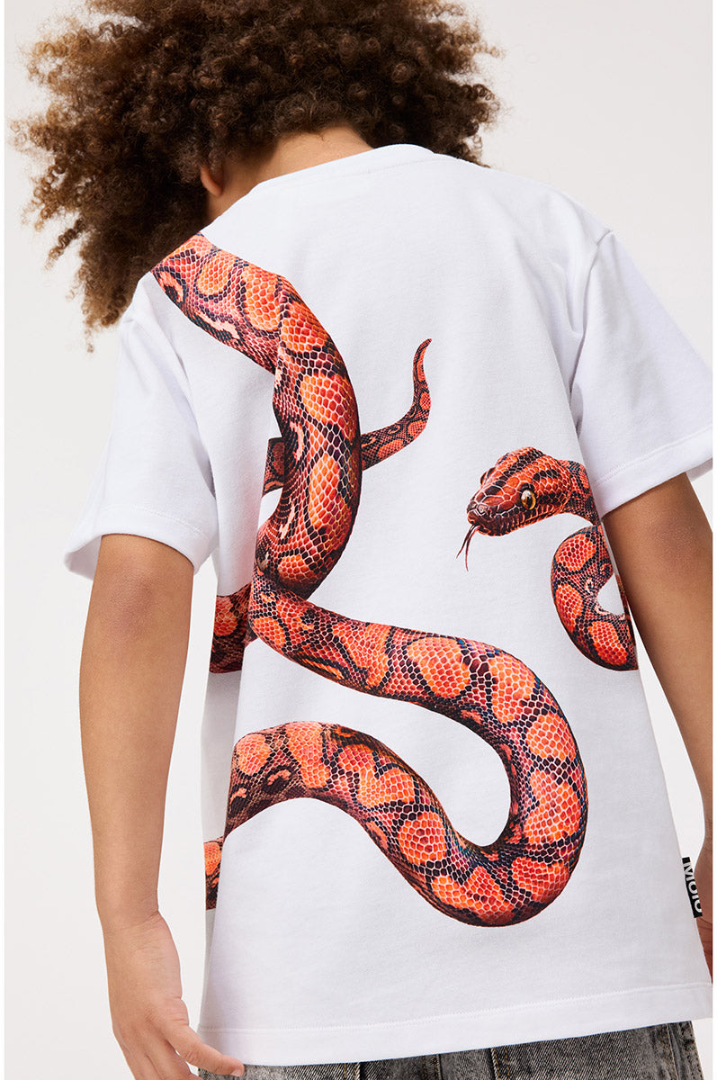 T-shirt MOLO Rubin 3866