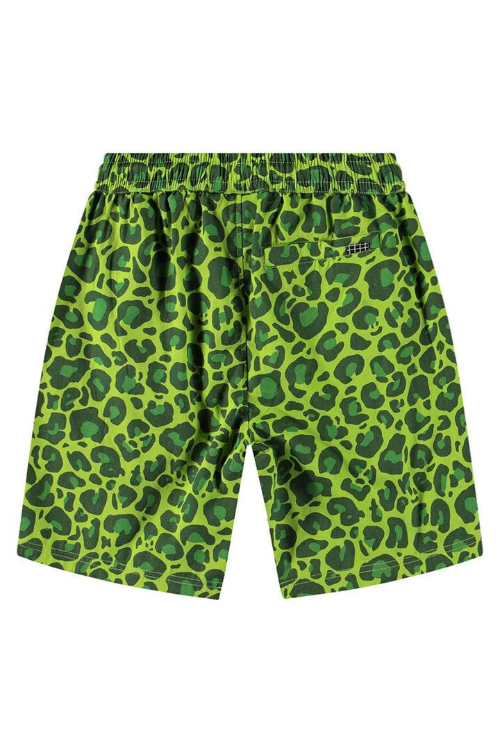 Bermuda MOLO Avart 9281