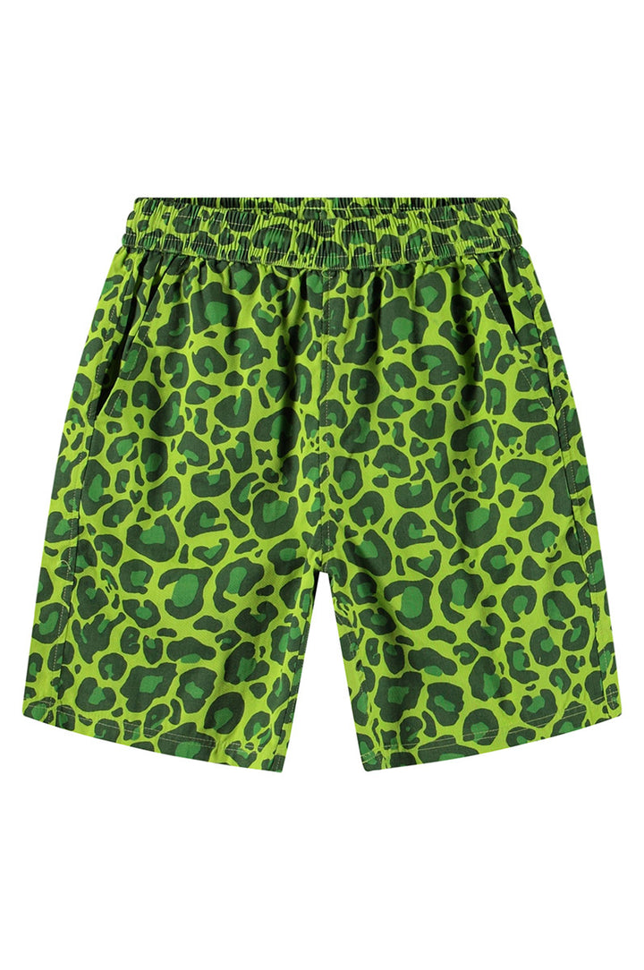 Bermuda MOLO Avart 9281