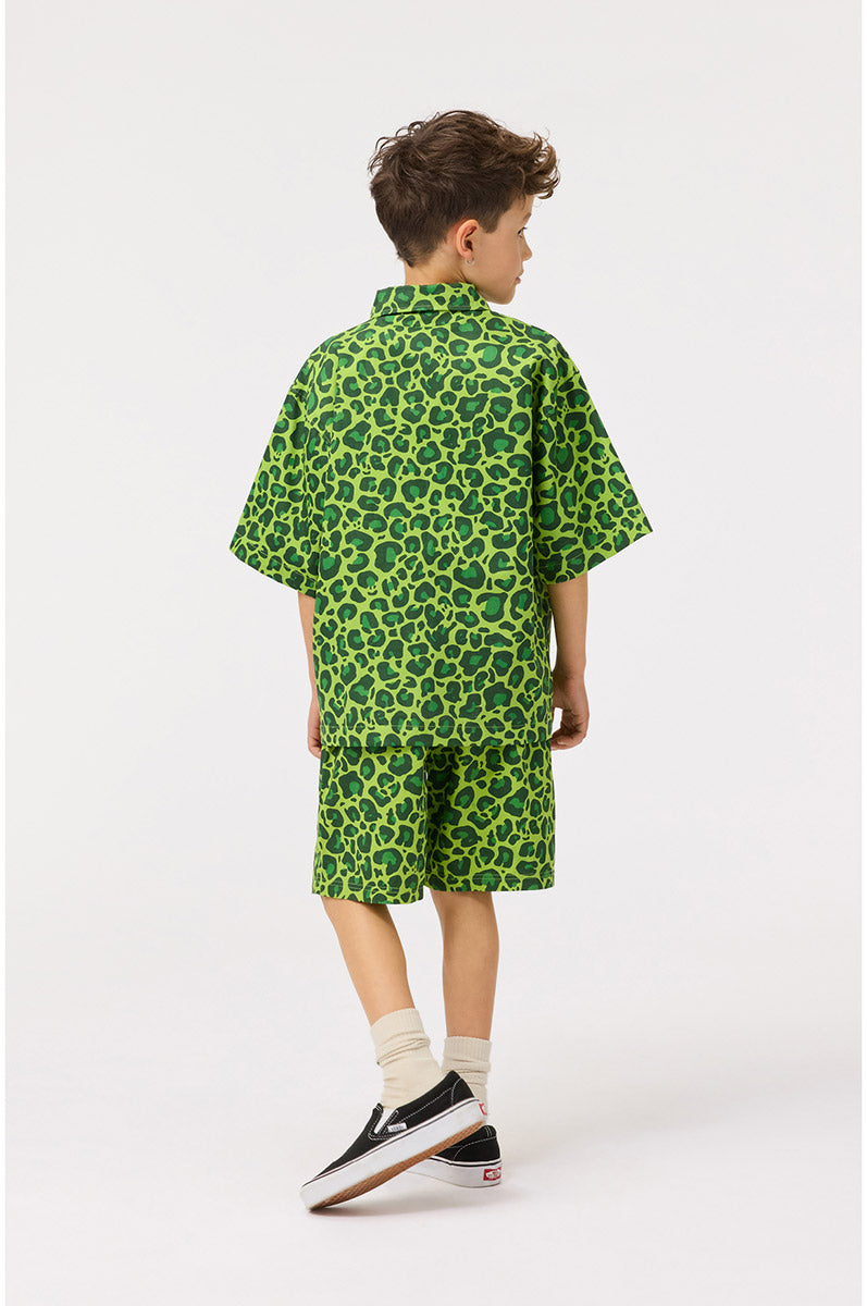 Bermuda MOLO Avart 9281