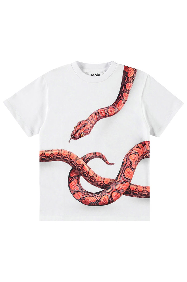 T-shirt MOLO Rubin 3866
