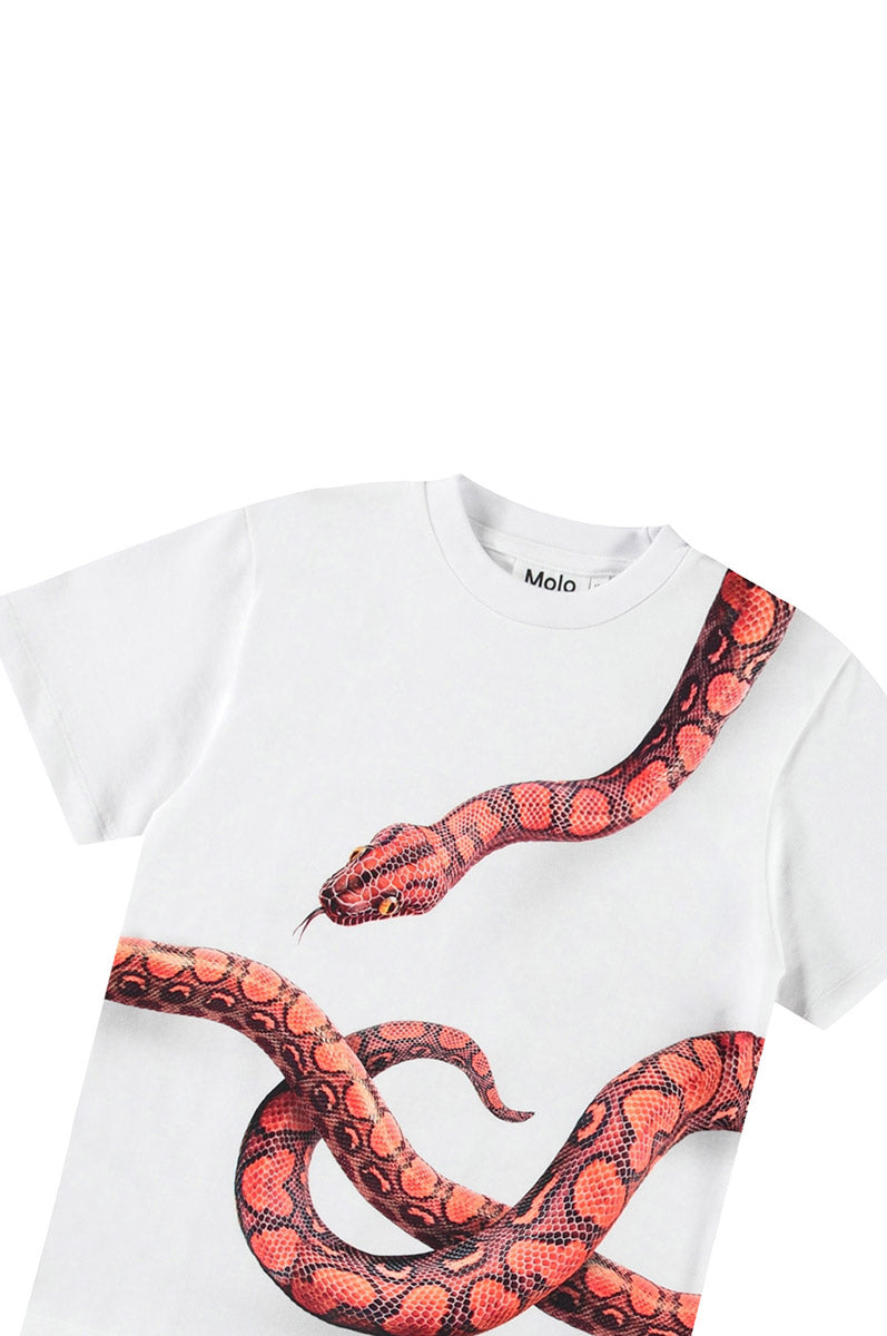 T-shirt MOLO Rubin 3866
