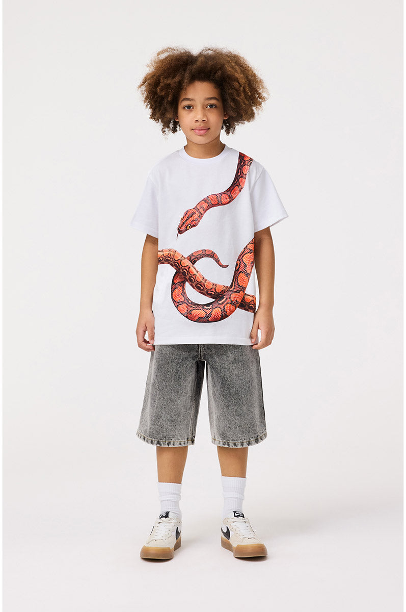 T-shirt MOLO Rubin 3866