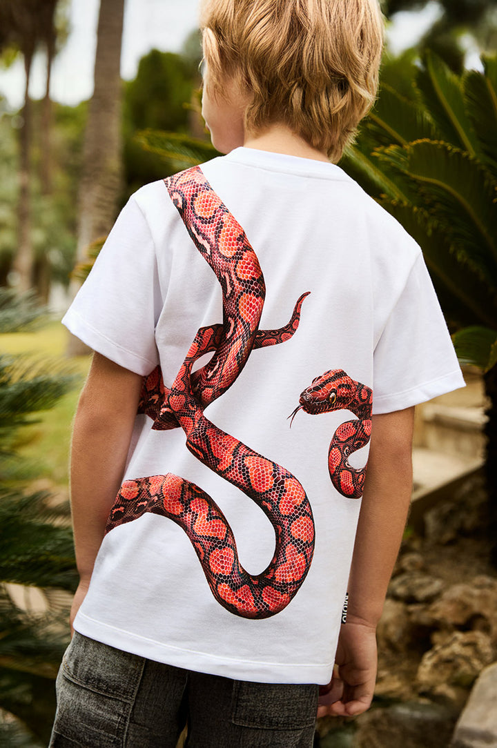 T-shirt MOLO Rubin 3866