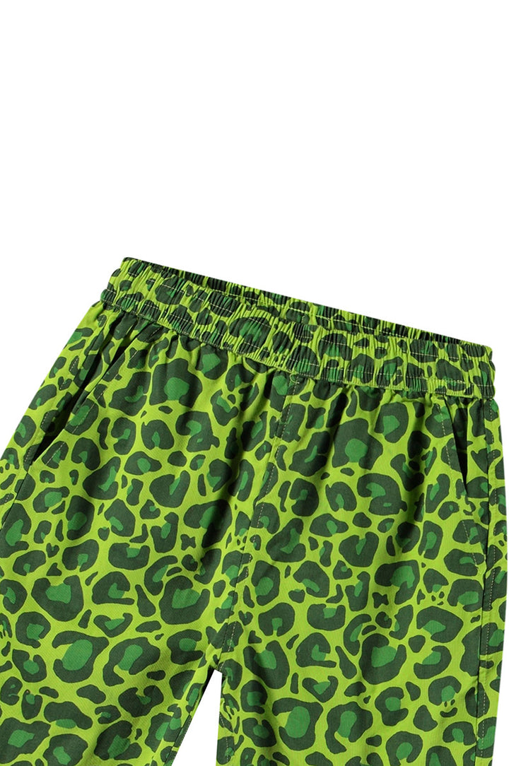 Bermuda MOLO Avart 9281