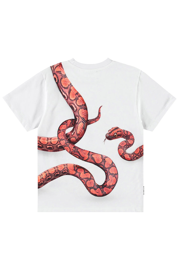 T-shirt MOLO Rubin 3866